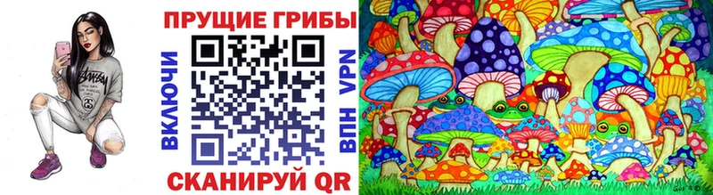 блэк спрут tor  Лабинск  Псилоцибиновые грибы мухоморы  как найти наркотики 