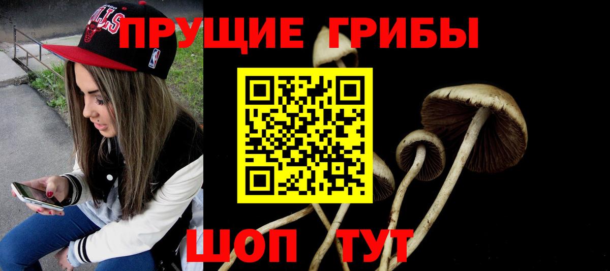 Псилоцибиновые грибы мухоморы Лабинск
